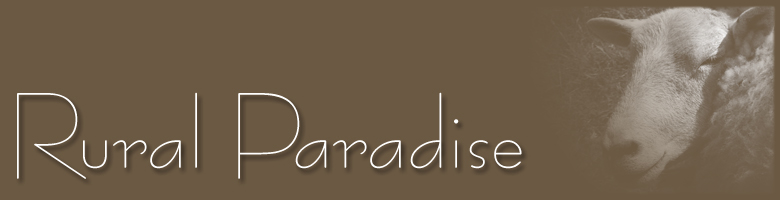 Luxury self catering accommodation in Snowdonia